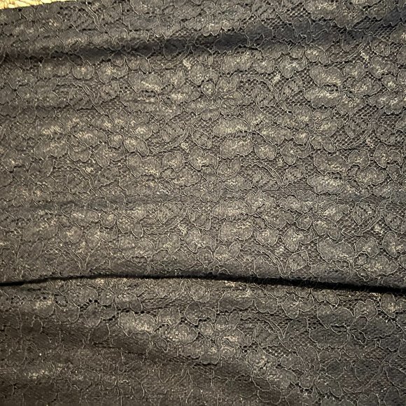 Babaton Lace Dress - Picture 2 of 3